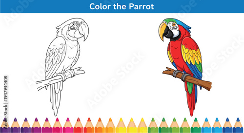 Educational Color the Parrot Activity Sheet Featuring a Detailed Macaw Line Drawing and Colorful Reference for Children's Creative Learning