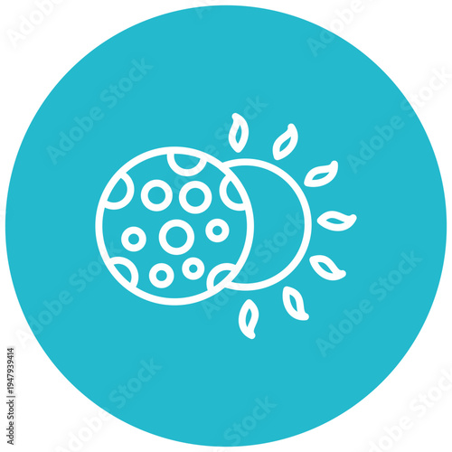 Solar Eclipse Icon