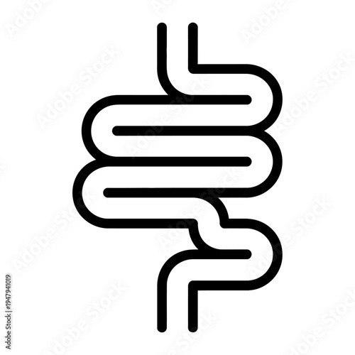 Vector of intestines showing a digestive system