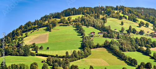  hilly farm land at the lake Zell in the region Pinzgau of Salzburg, Austria