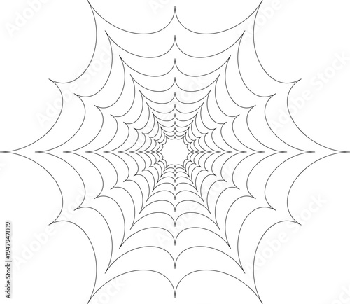 A round web design forms from lines connecting in a circular shape. The web has multiple strands creating an intricate look. This design can serve for art or education.