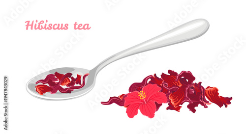 Dried hibiscus tea petals in a silver spoon and heap with flower isolated on white background. Vector cartoon flat illustration
