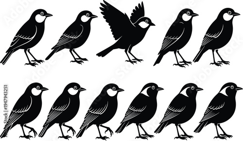 Cad drawing flat vector illustration, black bird silhouettes set, flying and standing bird icons, minimal wildlife clipart collection, isolated design