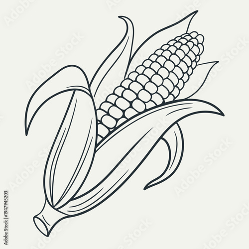Corn on the cob - healthy food illustration with line art