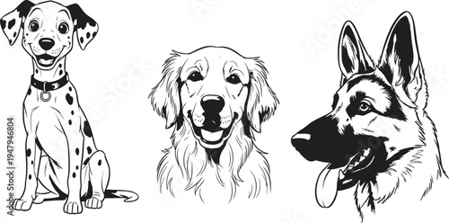 Three illustrations of different dog breeds