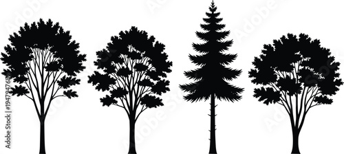 Forest tree silhouette collection, deciduous and evergreen pine trees set, black botanical nature elements isolated for landscape, garden and environment design
