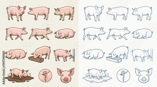 Collection of illustrations depicting various poses and activities of pigs, including standing, walking, eating, and playing in mud.