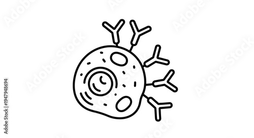 Antibody binding to cell surface receptor, immune system concept, scientific illustration