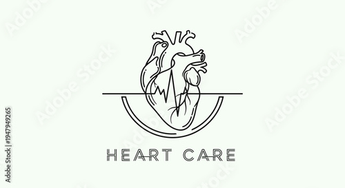 Anatomical Human Heart Line Art Illustration with ECG Line and Heart Care Text – Medical Health Cardiology Symbol Design