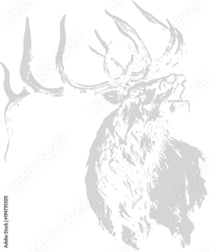 Bugling Elk Svg, Whitetail Deer Svg, Whitetail Buck Svg