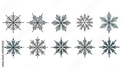 Set of ten intricate and unique snowflake designs drawn in a detailed black and white line art style for winter holiday decorations.