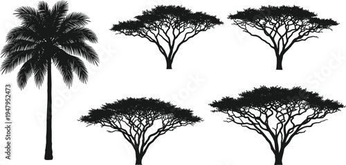 tropical palm and acacia tree silhouettes set, african savanna vegetation collection, exotic nature landscape elements, botanical jungle vector illustration isolated design