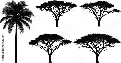 tropical palm and acacia tree silhouettes set, african savanna nature collection, exotic jungle vegetation vector illustration isolated botanical landscape elements