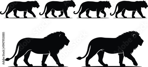 Lion and Lioness Silhouette Vector Collection, Majestic African Wildlife Walking Side View Icons, King of Jungle Animal Predator Graphics for Design