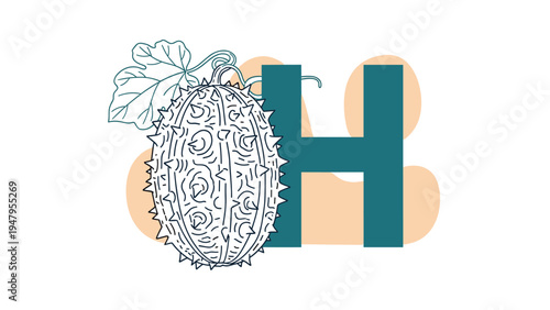 Detailed line drawing of a horned melon or kiwano fruit placed in front of a large teal capital letter H on a white background.