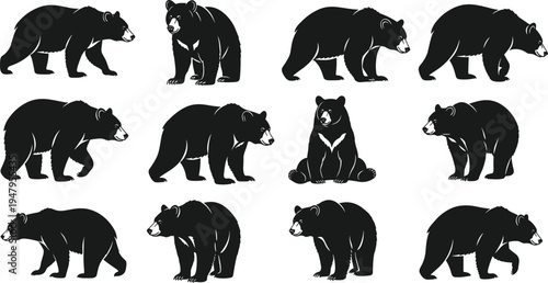 Collection of black bear silhouettes in various poses including walking, sitting, standing, grizzly and polar wild animal vector icons for outdoor forest nature