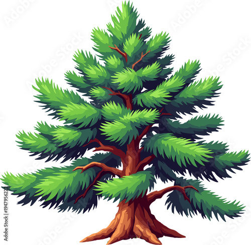 Decorative evergreen pine tree with wide branches and rich green foliage, natural forest illustration perfect for botanical artwork, landscape designs and nature themes
