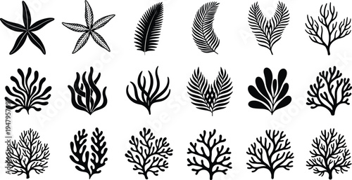 WebSeaweed and coral silhouettes with starfish and aquatic plants, cad drawing flat vector illustration, marine life elements for ocean nature design.