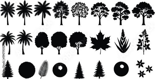 Set of tree silhouettes including palm trees, pine, maple leaves, and garden plants for landscape design, nature graphics, and architecture site plan projects,