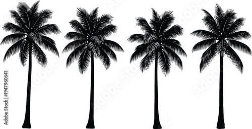 Tropical palm tree silhouette vector illustration, beach island summer design element, exotic vacation nature symbol, paradise holiday decoration, coastal tropical artwork, black silhouette palm trees