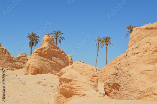 Tunisia,dune pietrificate