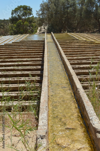 Tunisia,sorgnte di acqua calda