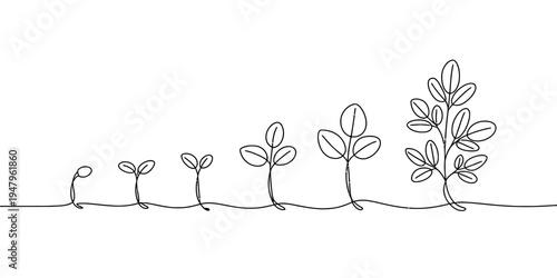 Plant growth stages continuous line minimal vector nature illustration design