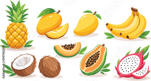 Tropical, fruits, collection, pineapple, mango, banana, papaya, coconut, dragon, fruit, colorful, fresh, exotic, healthy, vector, illustration, food, set, summer