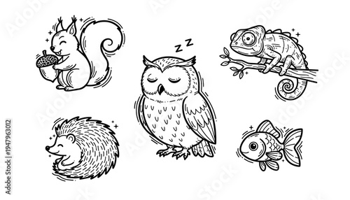Cute hand drawn animal doodle set featuring squirrel with acorn, sleeping owl, chameleon on branch, hedgehog and fish in adorable cartoon style. Black and white line art vector illustration
