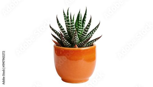 Φωτογραφία Isolated Haworthia plant in a glossy orange ceramic pot, vibrant succulent with