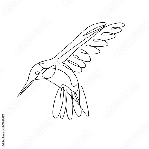 Flying Hummingbird One Line Drawing. Continuous Minimalist Bird Art Illustration.