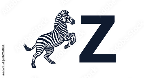 Educational graphic for the letter Z featuring a dynamic illustration of a zebra jumping with its front legs raised.