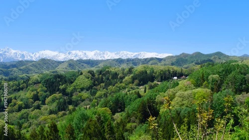 春　北アルプス　新緑