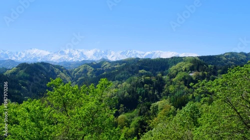 春　北アルプス　新緑