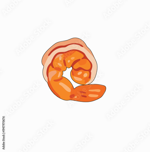 Cooked shrimps on white background illustration art for food menu card design or print