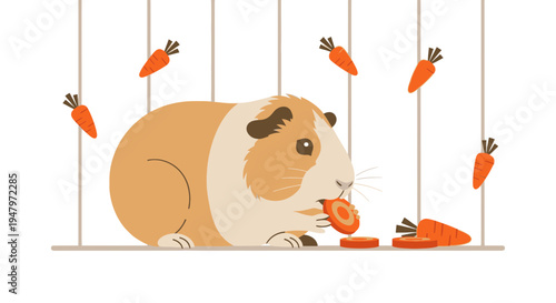 Cute Guinea Pig Eating Carrot Slices in Cage