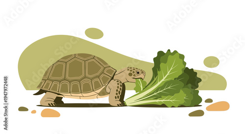 Cute Tortoise Eating Fresh Green Lettuce in a Natural Setting