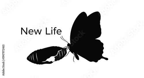 A striking black silhouette illustration captures the profound moment of a butterfly emerging from its chrysalis, symbolizing a beautiful new life and personal transformation, representing growth, cha