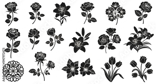 Elegant Floral Silhouettes - A Collection of Botanical Designs.