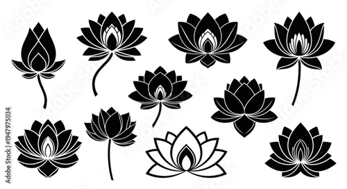 Elegant Lotus Flower Illustrations in Black and White.