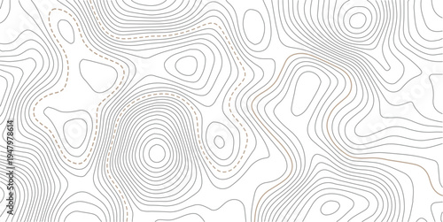 Topographic map background. Grid map.  Geographic abstract pattern. The topo contour or wallpaper. Mountain trail terrain or path. Vector illustration.