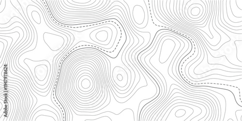 Topographic map background. Grid map.  Geographic abstract pattern. The topo contour or wallpaper. Mountain trail terrain or path. Vector illustration.