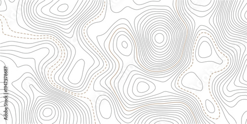 Topographic map background. Grid map.  Geographic abstract pattern. The topo contour or wallpaper. Mountain trail terrain or path. Vector illustration.
