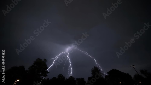 A dramatic bolt of lightning illuminates the dark, stormy sky above silhouetted trees and a streetlamp.