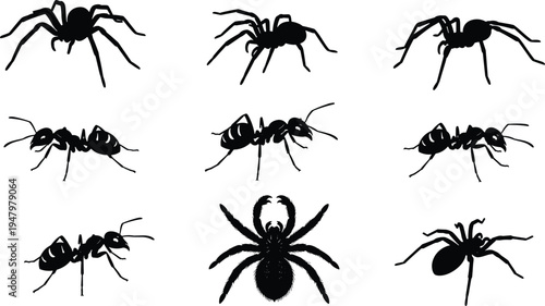 Vector Silhouette Illustration Set of Spiders and Ants Insects Isolated on White Background for Halloween Decoration Scary Crawling Pests Arachnid and Formicidae Wildlife Design