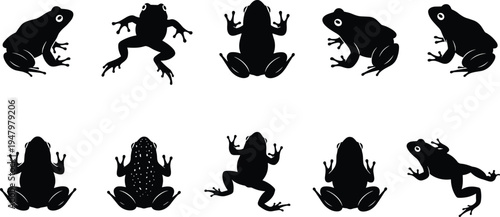 Set of various black frog silhouettes in different poses and positions, including jumping, sitting, and top views, isolated on a clean white background.