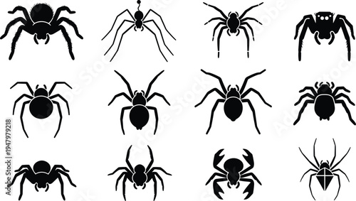 Collection of twelve diverse black spider silhouette vector icons featuring various arachnid species like tarantulas and jumping spiders isolated on a clean white background.