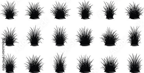 For Adobe Stock, your title and keywords should focus on the versatility of these assets for landscape architecture, gardening, and minimalist design. Here is your SEO-optimized metadata