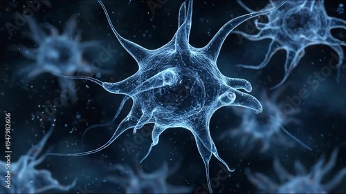 dendritic cells floatation inside human body