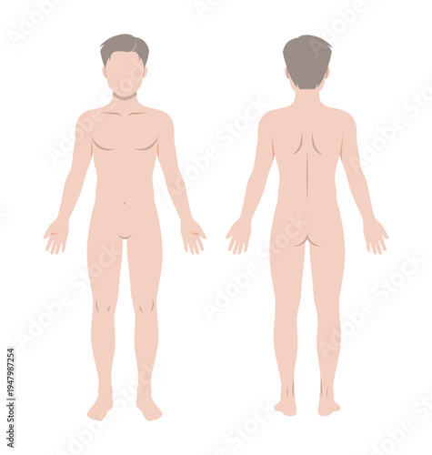 Male Full Body Anatomy Front and Back View Medical Illustration, Human Body Diagram and Proportion Reference Template for Education and Study